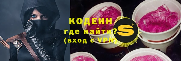 ГАЛЛЮЦИНОГЕННЫЕ ГРИБЫ Гусев