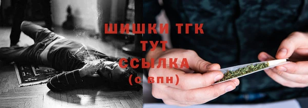 ГАЛЛЮЦИНОГЕННЫЕ ГРИБЫ Гусев