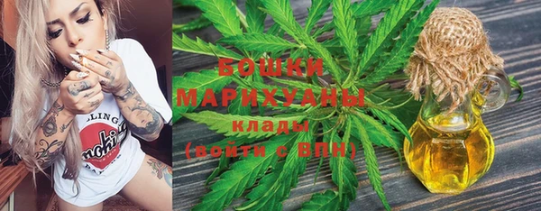ГАЛЛЮЦИНОГЕННЫЕ ГРИБЫ Гусев