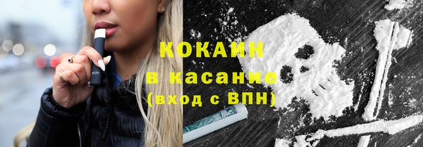 ГАЛЛЮЦИНОГЕННЫЕ ГРИБЫ Гусев