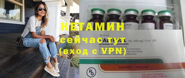 ГАЛЛЮЦИНОГЕННЫЕ ГРИБЫ Гусев