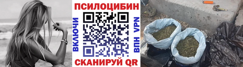 Псилоцибиновые грибы мицелий Приморск